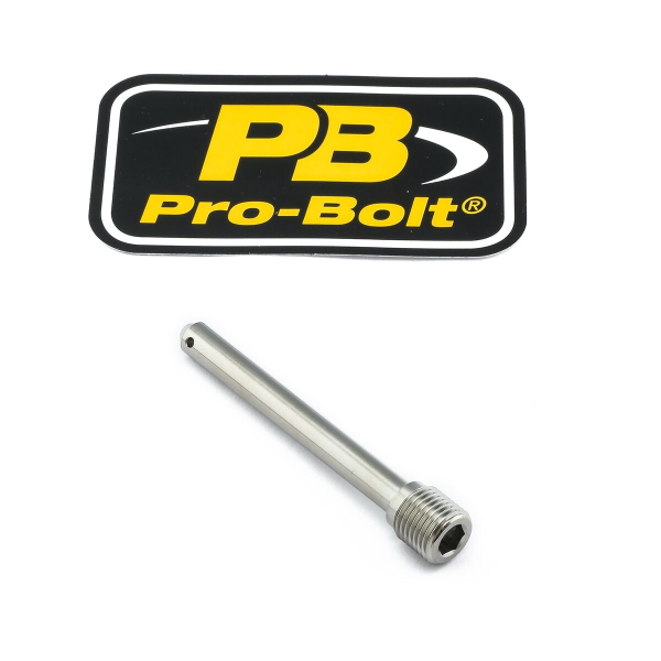 Bremssattelbolzen