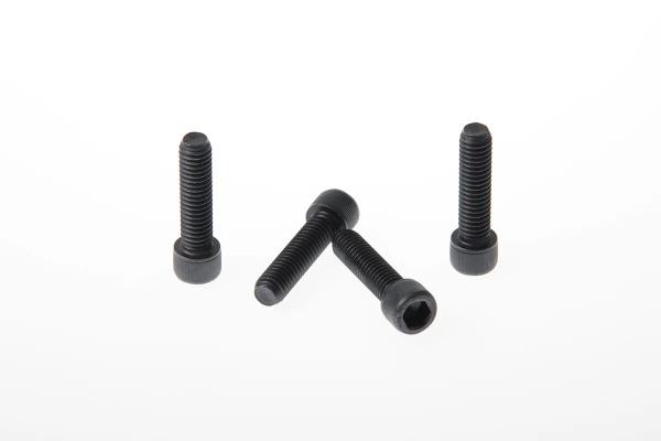 Fork Triple Clamp Screws
