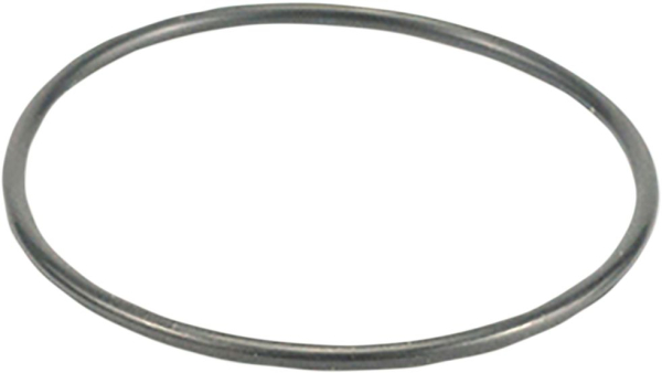 Kolben O-Ring hinten - Kolben O-Ring hinten