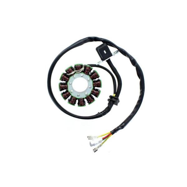 Stator ESG169 für Lichtmaschine