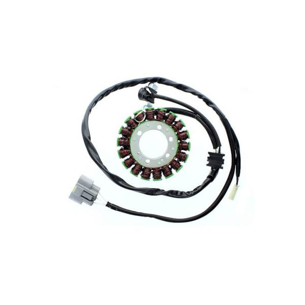 Stator ESG509 für Lichtmaschine