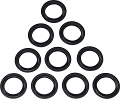 Gabeldichtringe/Staubdichtringe, 10er-Pack