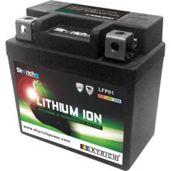 Lithium-Ionen-Batterie - LFP01