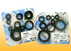 Motor-Dichtring