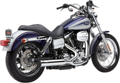 PowerPro HP 2:1 RPT Auspuffanlage