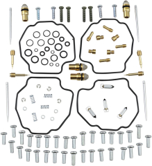 Vergaser-Reparatursatz